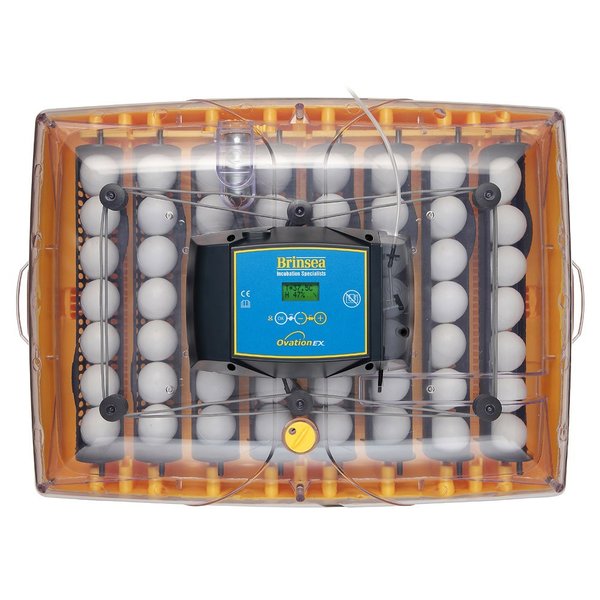 Brinsea Ovation 56 eieren ADVANCE EX automatische broedmachine
