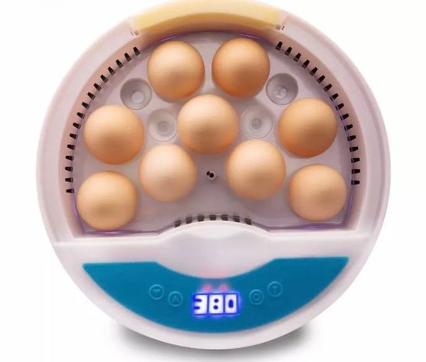 HHD broedmachine voor 9 eieren met LED schouwlampjes